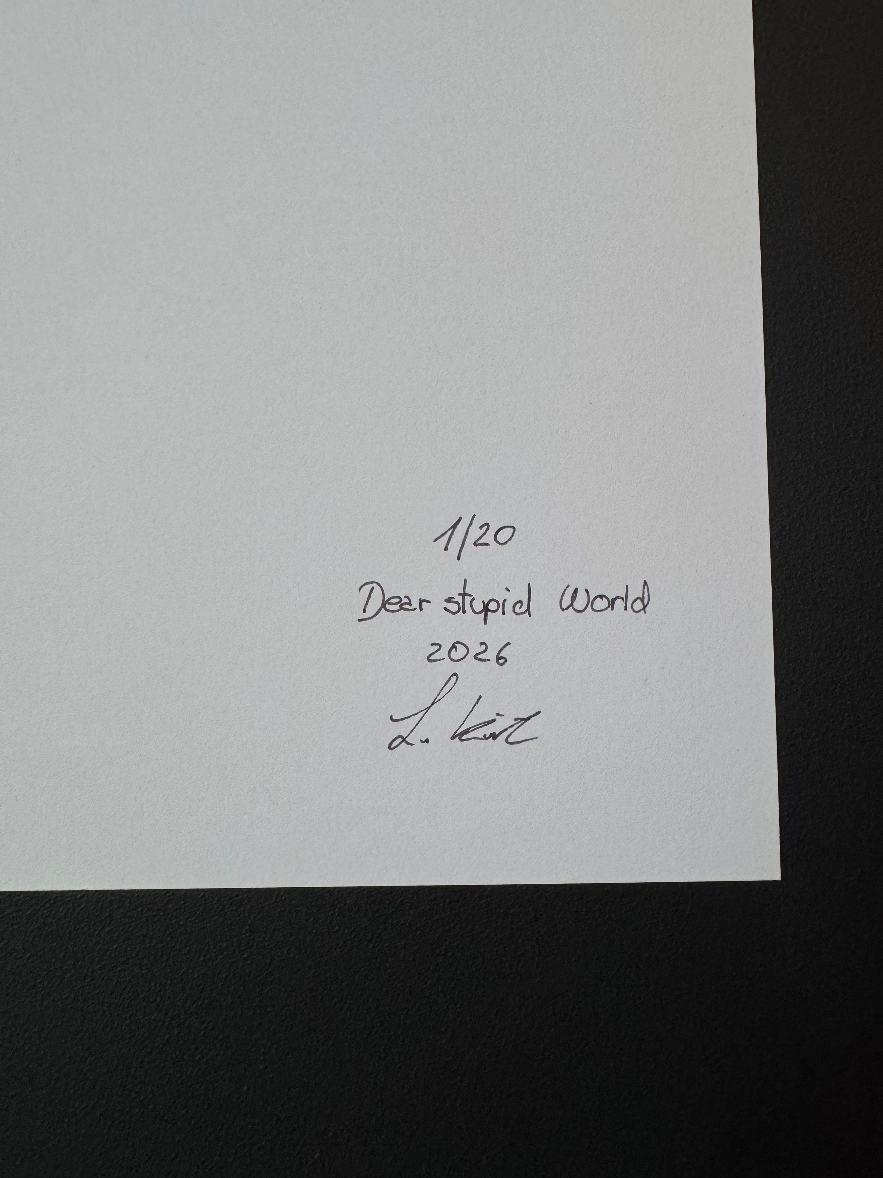 Dear stupid World - A4 Druck- Limited Edition