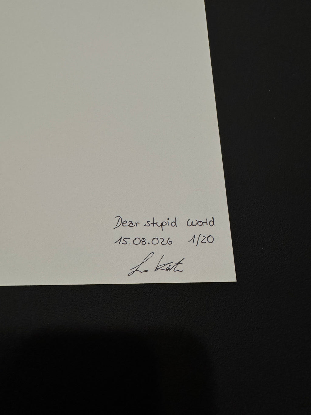 Dear Stupid World- Artprint in A3 - limited edition