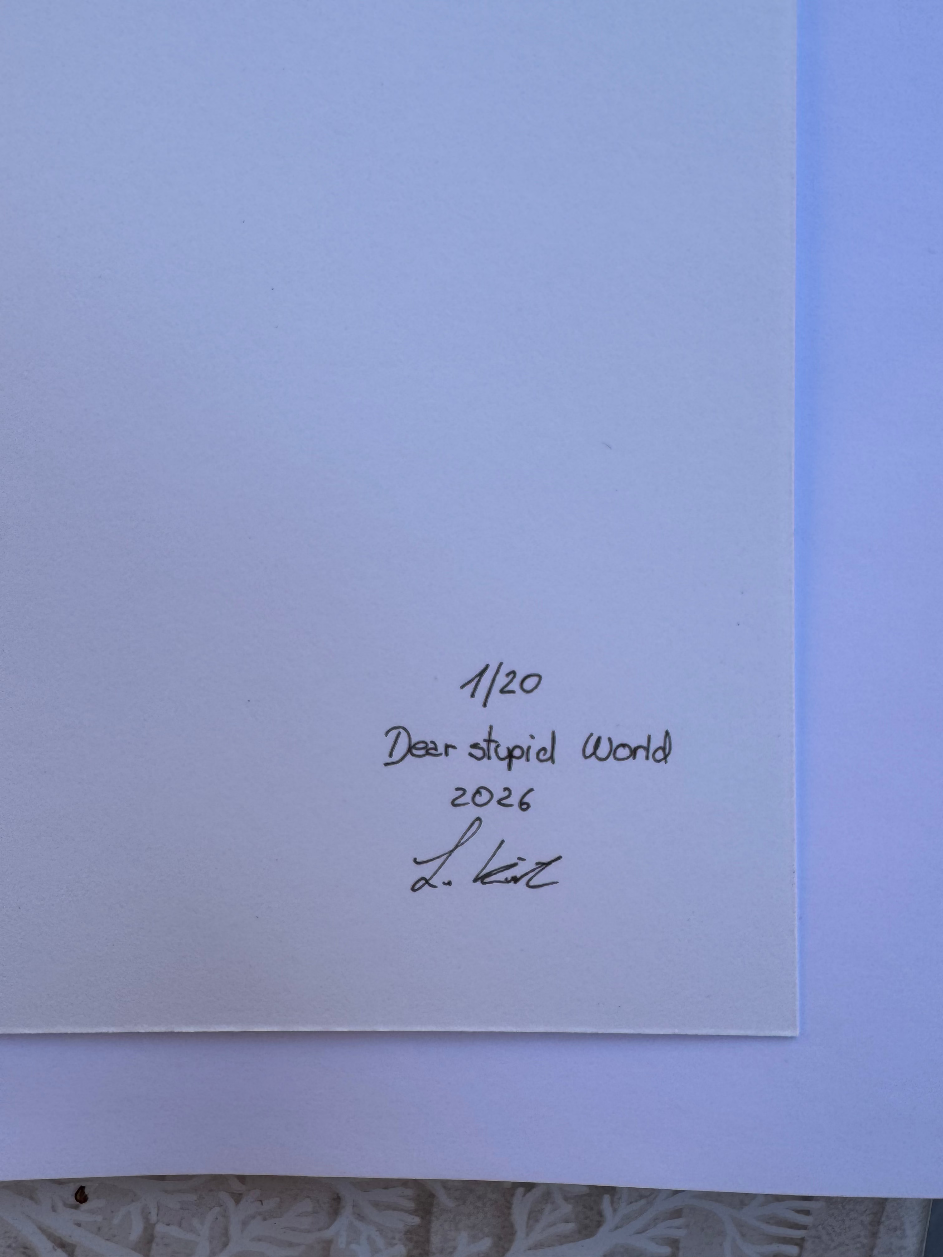 Dear stupid World - A4 Druck- Limited Edition
